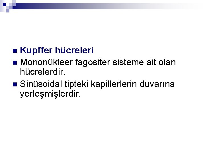Kupffer hücreleri n Mononükleer fagositer sisteme ait olan hücrelerdir. n Sinüsoidal tipteki kapillerlerin duvarına