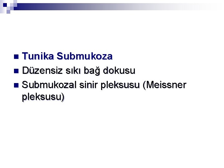 Tunika Submukoza n Düzensiz sıkı bağ dokusu n Submukozal sinir pleksusu (Meissner pleksusu) n