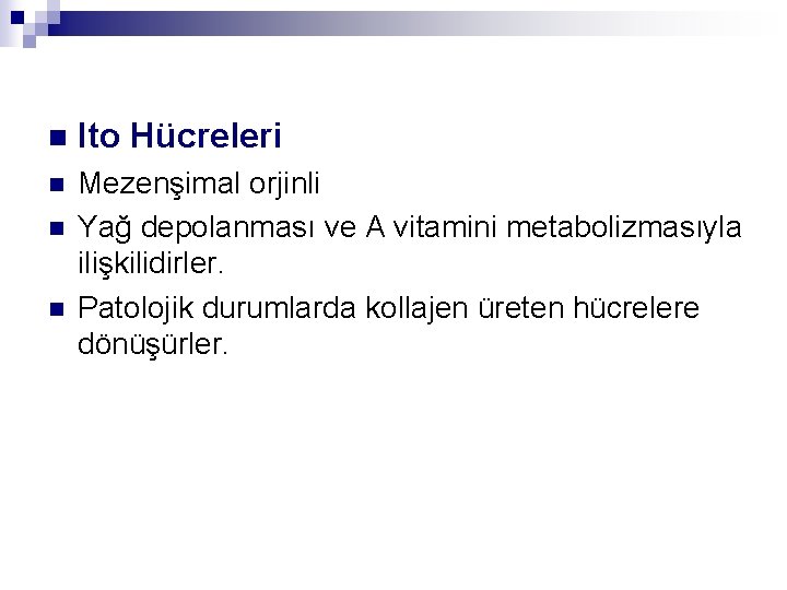 n Ito Hücreleri n Mezenşimal orjinli Yağ depolanması ve A vitamini metabolizmasıyla ilişkilidirler. Patolojik