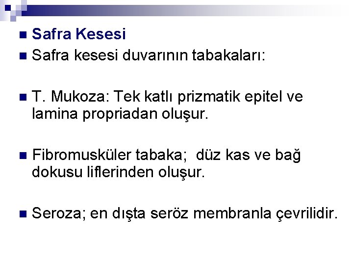 Safra Kesesi n Safra kesesi duvarının tabakaları: n n T. Mukoza: Tek katlı prizmatik