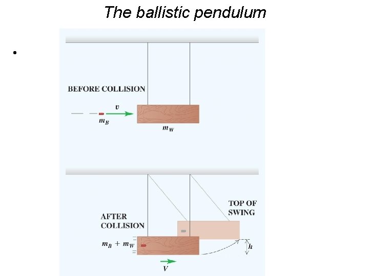 The ballistic pendulum • 