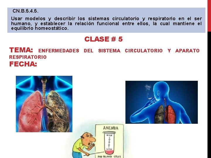  CN. B. 5. 4. 5. Usar modelos y describir los sistemas circulatorio y