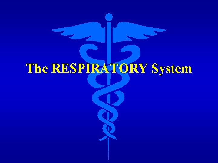 The RESPIRATORY System 