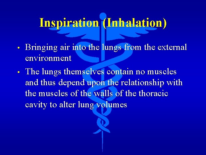 Inspiration (Inhalation) • • Bringing air into the lungs from the external environment The