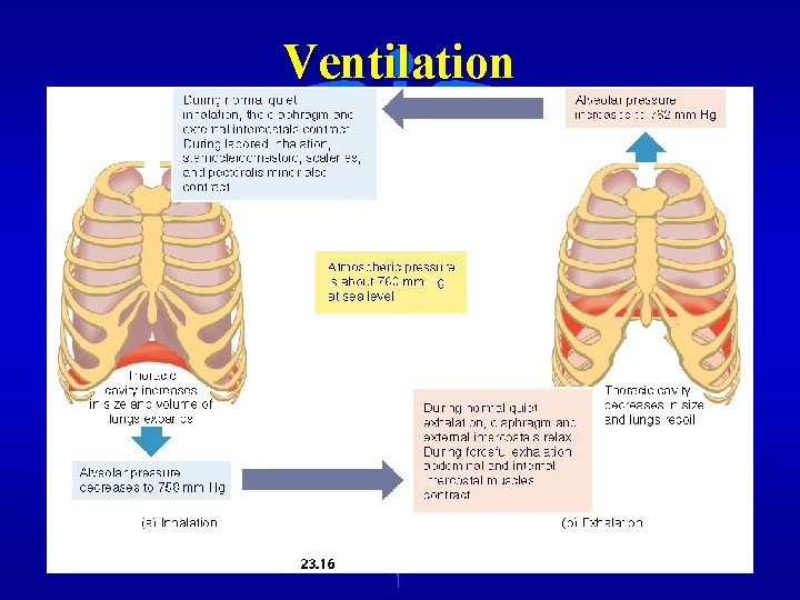 Ventilation 