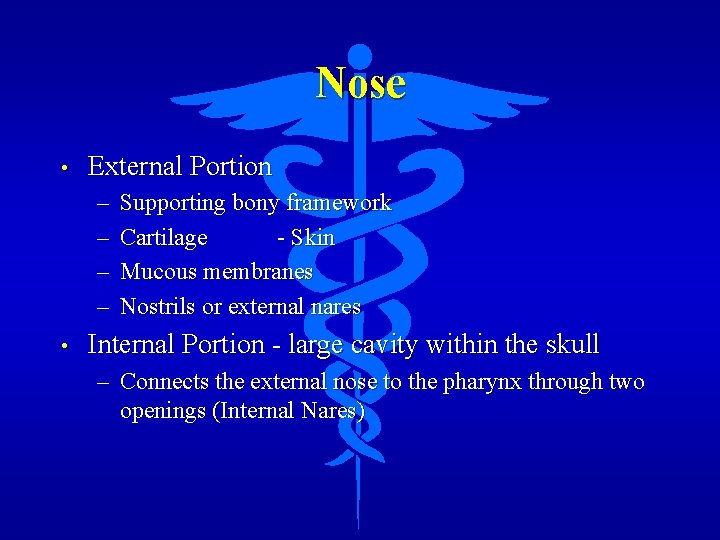 Nose • External Portion – – • Supporting bony framework Cartilage - Skin Mucous