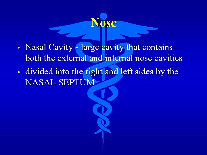 Nose • • Nasal Cavity - large cavity that contains both the external and