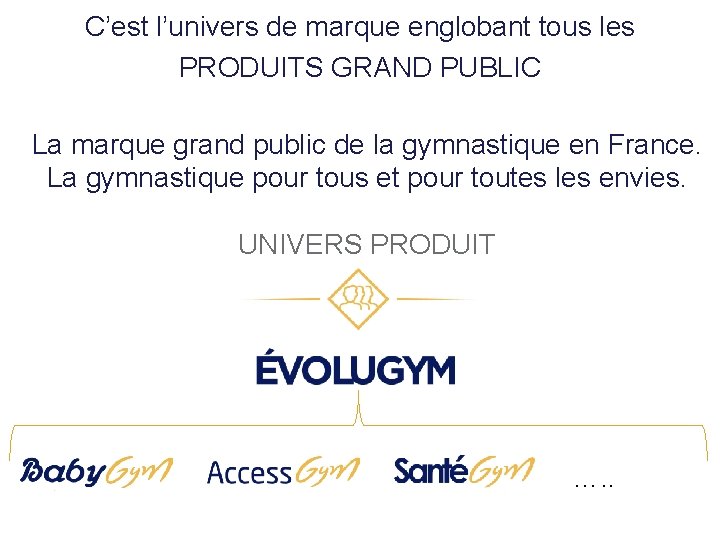 C’est l’univers de marque englobant tous les PRODUITS GRAND PUBLIC La marque grand public