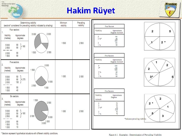 Hakim Rüyet 