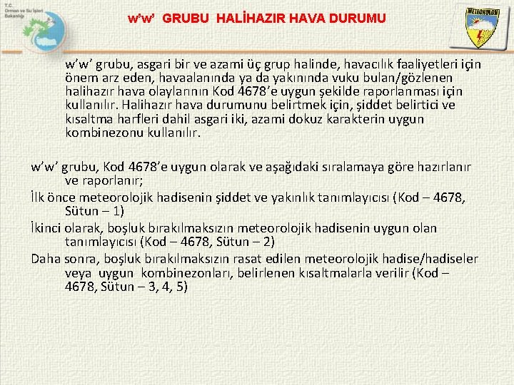 w’w’ GRUBU HALİHAZIR HAVA DURUMU w’w’ grubu, asgari bir ve azami üç grup halinde,