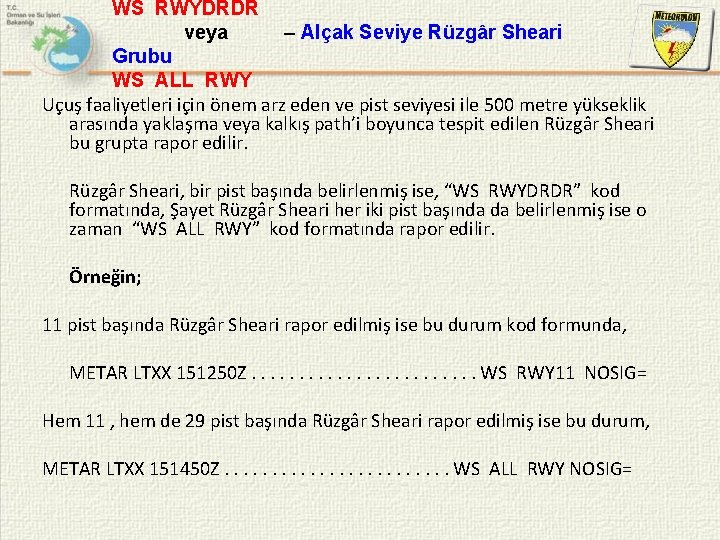 WS RWYDRDR veya – Alçak Seviye Rüzgâr Sheari Grubu WS ALL RWY Uçuş faaliyetleri