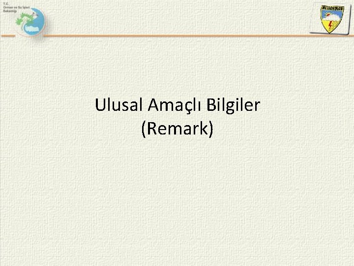 Ulusal Amaçlı Bilgiler (Remark) 