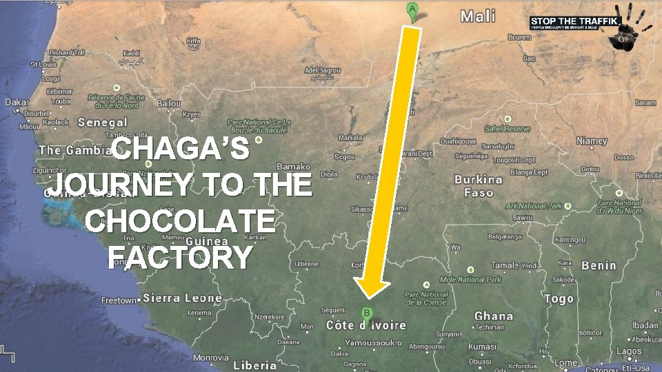 CHAGA’S JOURNEY TO THE CHOCOLATE FACTORY 