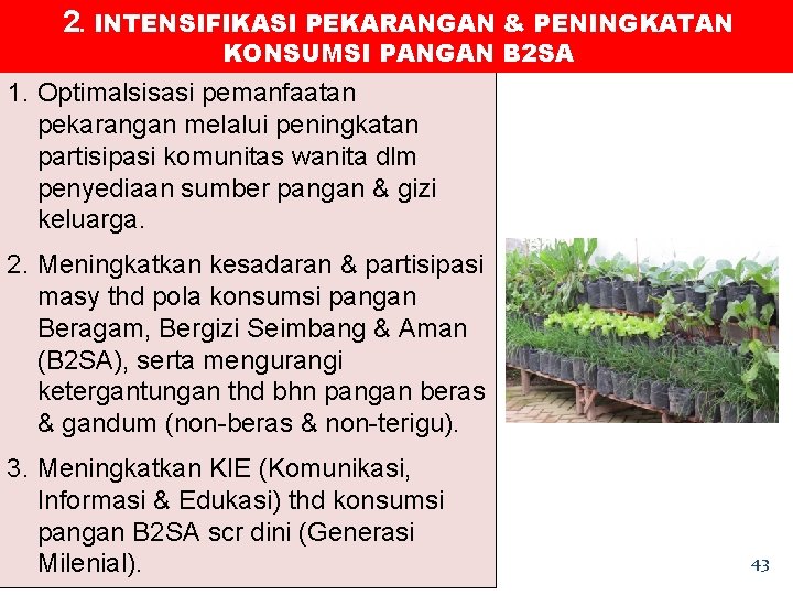 2. INTENSIFIKASI PEKARANGAN & PENINGKATAN KONSUMSI PANGAN B 2 SA 1. Optimalsisasi pemanfaatan pekarangan