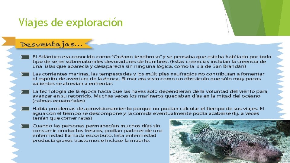 Viajes de exploración Viajes de exploración