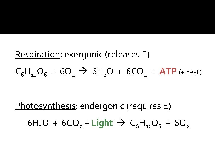 Respiration: exergonic (releases E) C 6 H 12 O 6 + 6 O 2