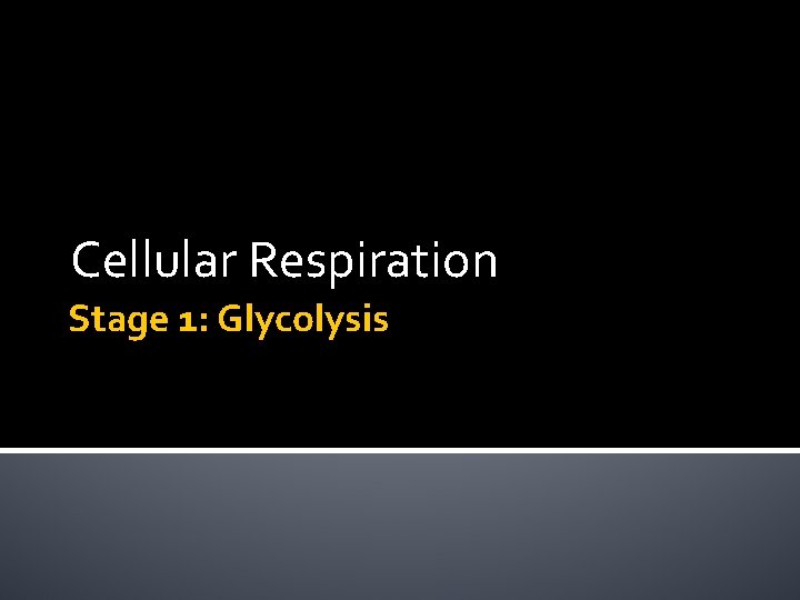 Cellular Respiration Stage 1: Glycolysis 