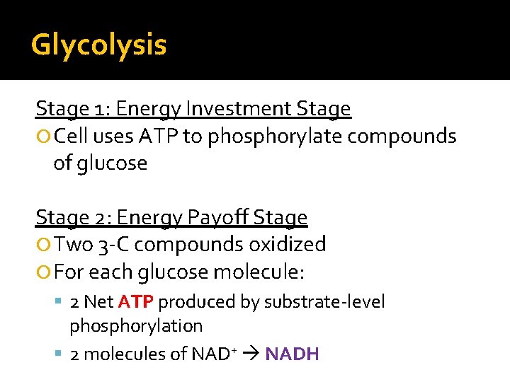 Glycolysis Stage 1: Energy Investment Stage Cell uses ATP to phosphorylate compounds of glucose
