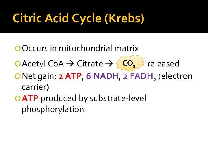 Citric Acid Cycle (Krebs) Occurs in mitochondrial matrix Acetyl Co. A Citrate released Net