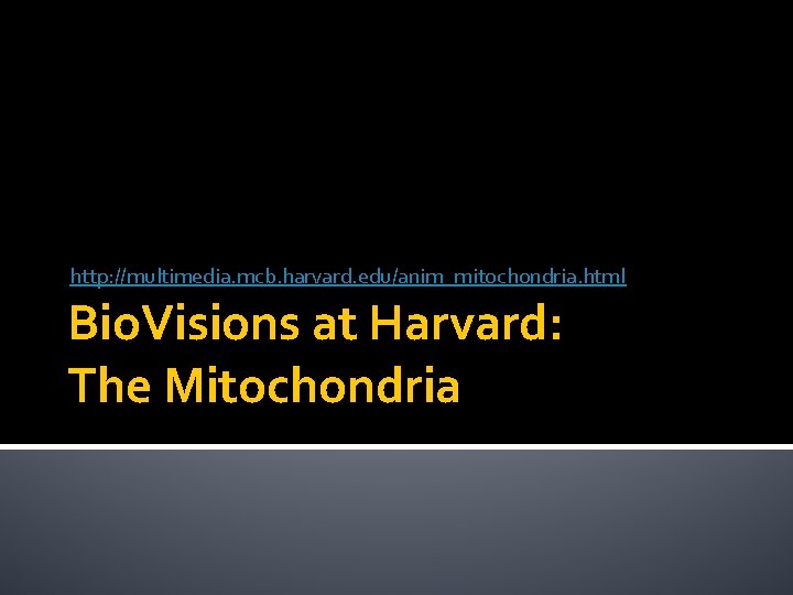 http: //multimedia. mcb. harvard. edu/anim_mitochondria. html Bio. Visions at Harvard: The Mitochondria 