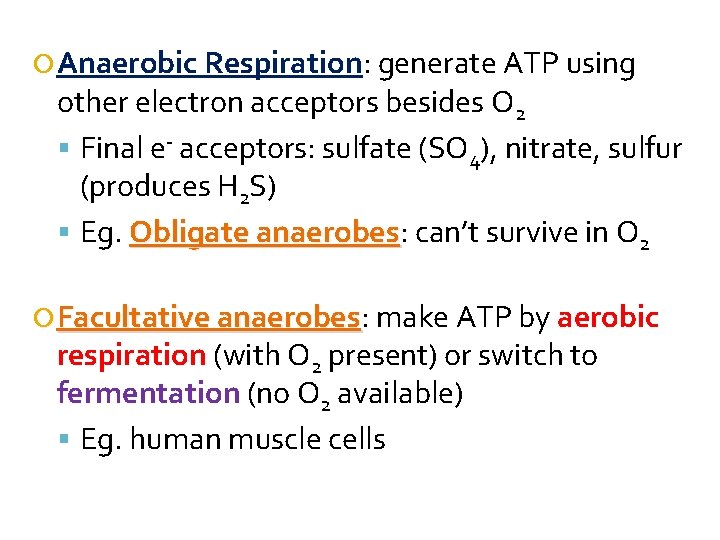  Anaerobic Respiration: generate ATP using other electron acceptors besides O 2 Final e-