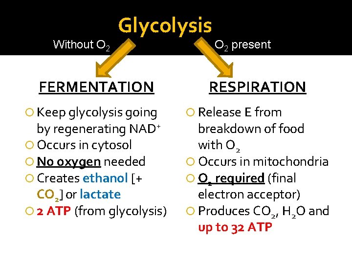 Without O 2 Glycolysis FERMENTATION Keep glycolysis going by regenerating NAD+ Occurs in cytosol