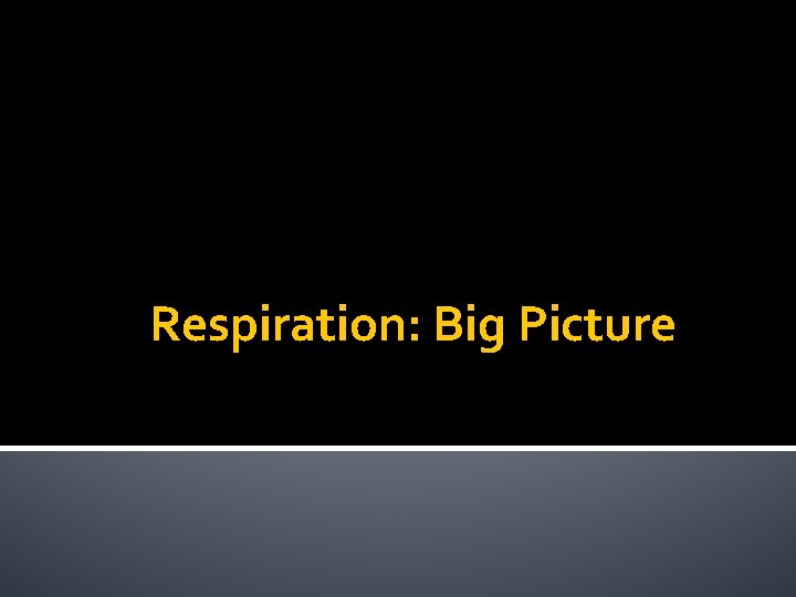 Respiration: Big Picture 