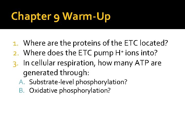 Chapter 9 Warm-Up 1. Where are the proteins of the ETC located? 2. Where