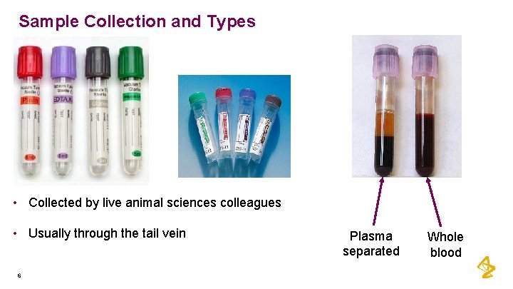 Translational Biomarkers and Bioanalysis Glen Hawthorne and Emilyanne