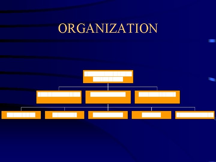ORGANIZATION 