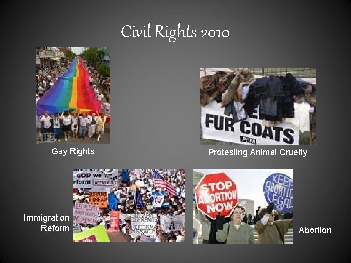 Civil Rights 2010 Gay Rights Immigration Reform Protesting Animal Cruelty Abortion 