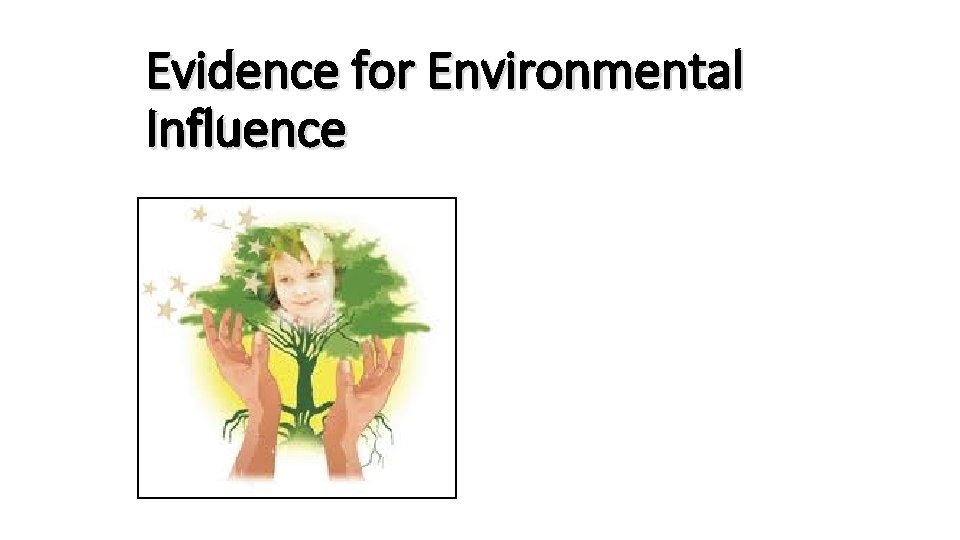 Evidence for Environmental Influence Evidence for Environmental Influence