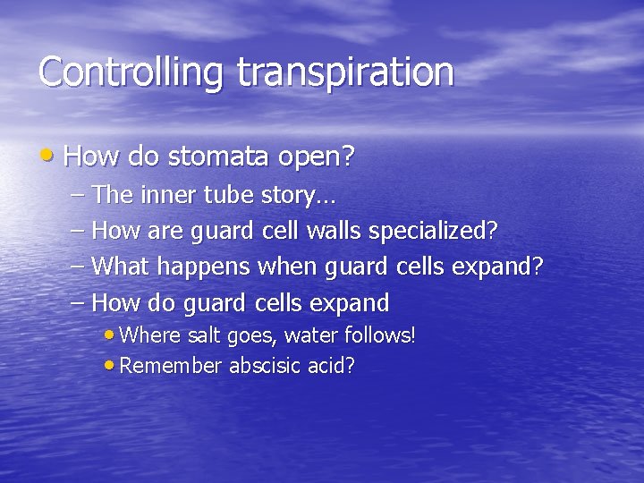 Controlling transpiration • How do stomata open? – The inner tube story… – How