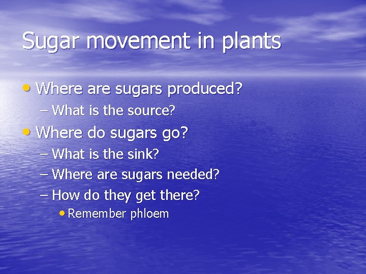 Sugar movement in plants • Where are sugars produced? – What is the source?
