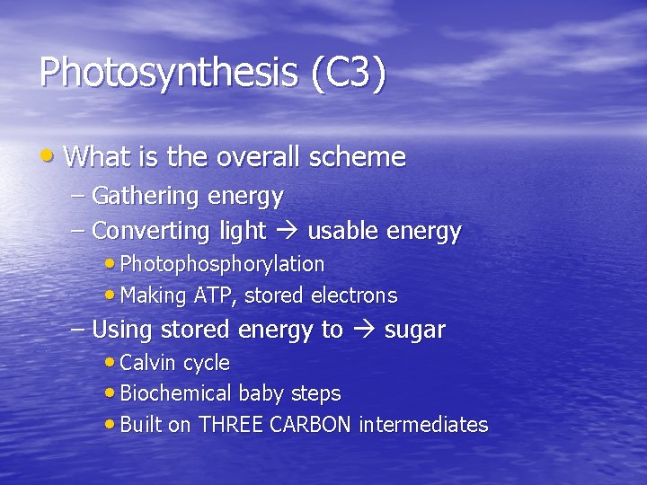 Photosynthesis (C 3) • What is the overall scheme – Gathering energy – Converting