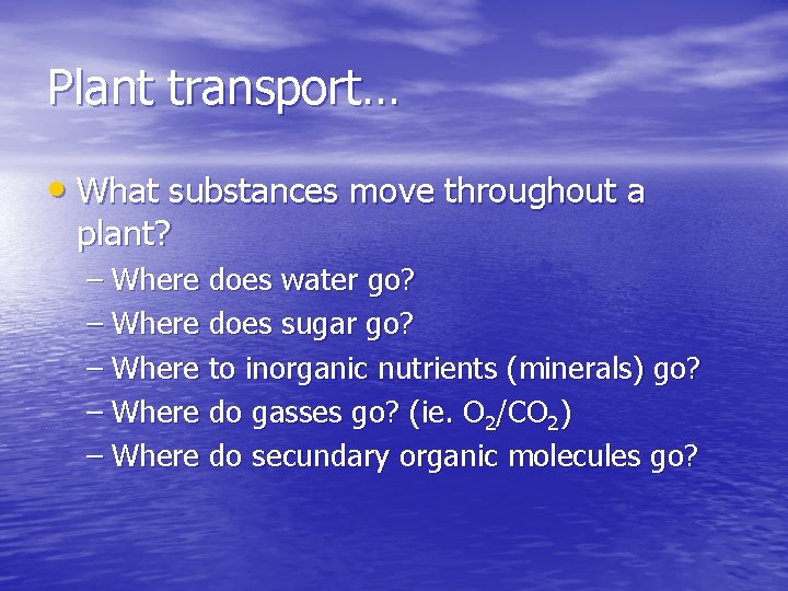 Plant transport… • What substances move throughout a plant? – Where does water go?