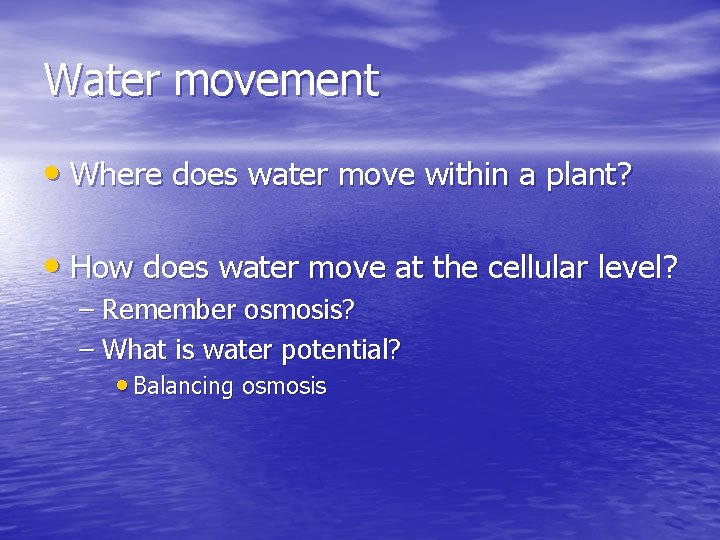Water movement • Where does water move within a plant? • How does water