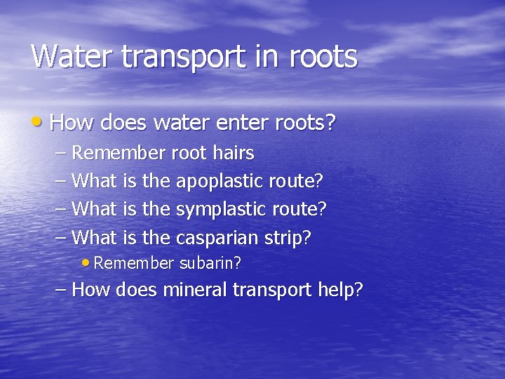 Water transport in roots • How does water enter roots? – Remember root hairs