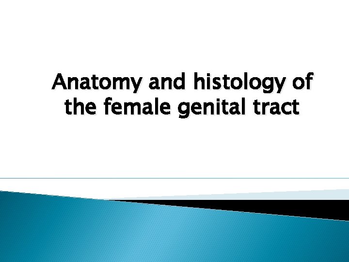 Anatomy and histology of the female genital tract 