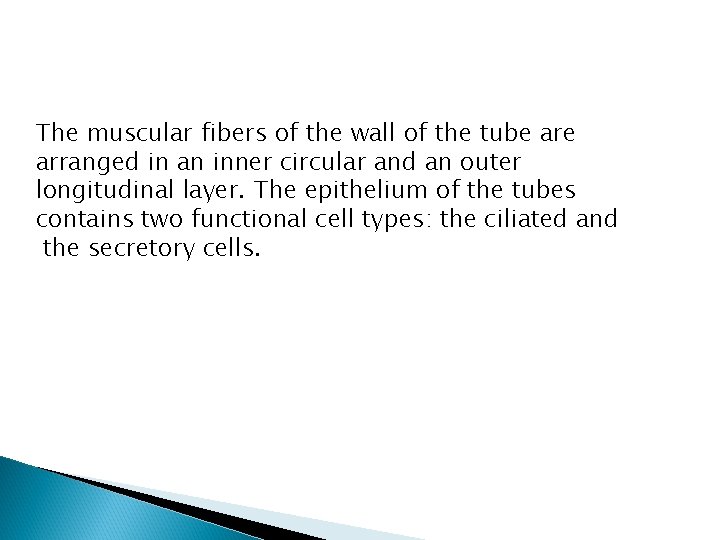 The muscular fibers of the wall of the tube arranged in an inner circular