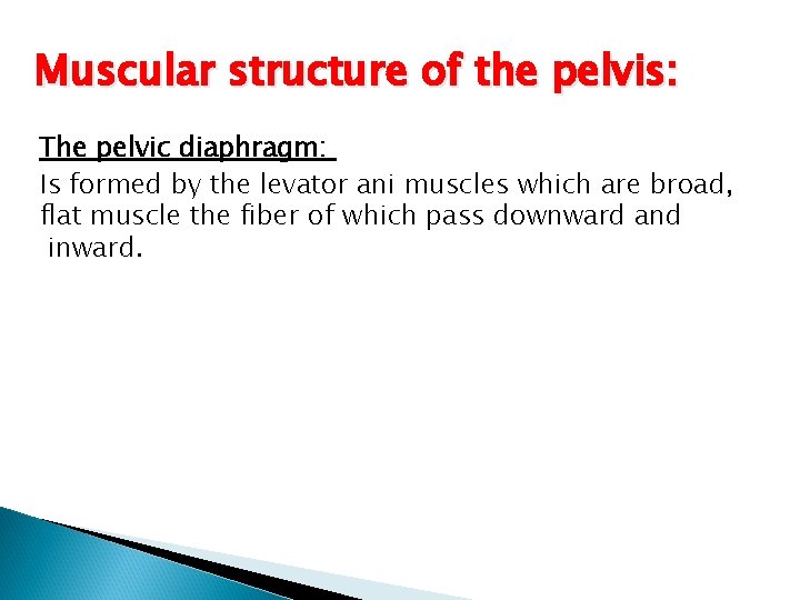 Muscular structure of the pelvis: The pelvic diaphragm: Is formed by the levator ani