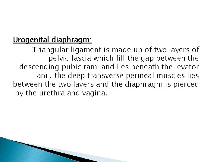 Urogenital diaphragm: Triangular ligament is made up of two layers of pelvic fascia which