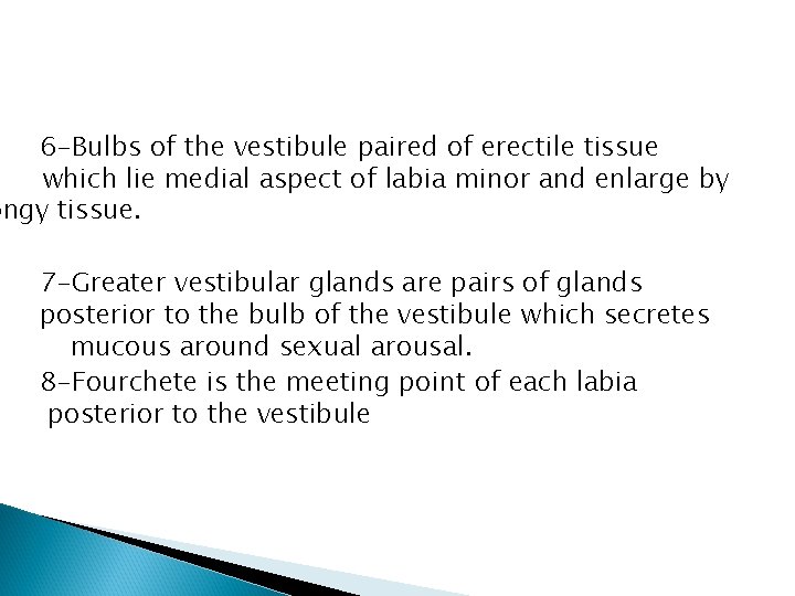 6 -Bulbs of the vestibule paired of erectile tissue which lie medial aspect of