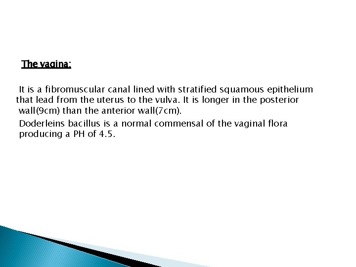 The vagina: It is a fibromuscular canal lined with stratified squamous epithelium that lead