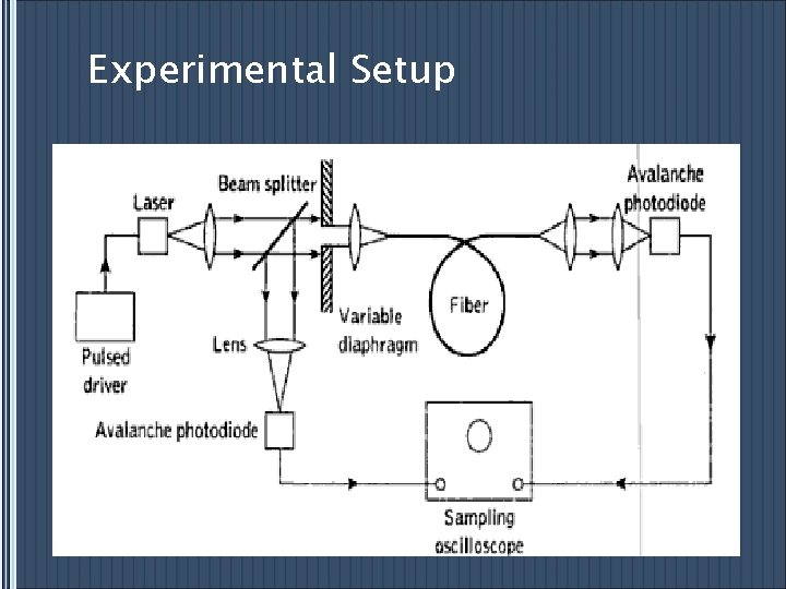 Experimental Setup 