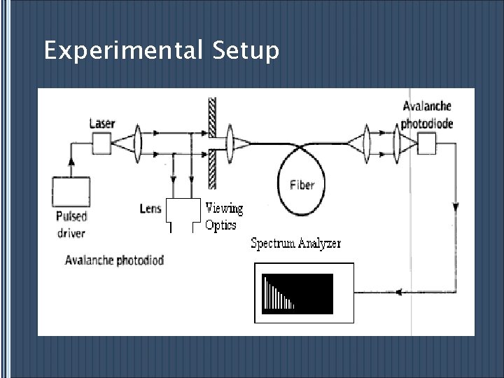 Experimental Setup 