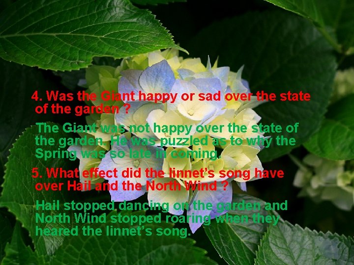 4. Was the Giant happy or sad over the state of the garden ?