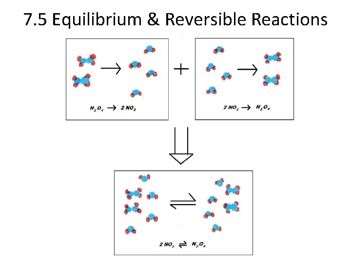 7. 5 Equilibrium & Reversible Reactions 