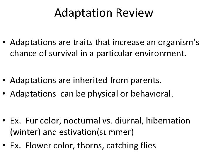 adaptation review