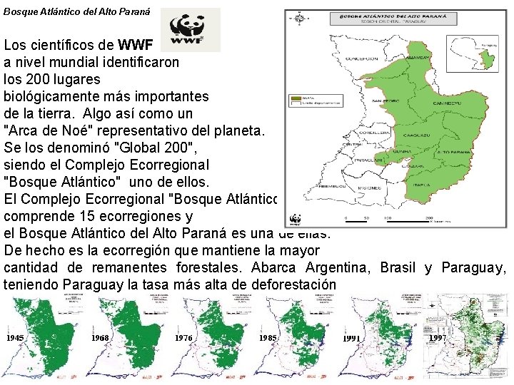 Bosque Atlántico del Alto Paraná Los científicos de WWF a nivel mundial identificaron los